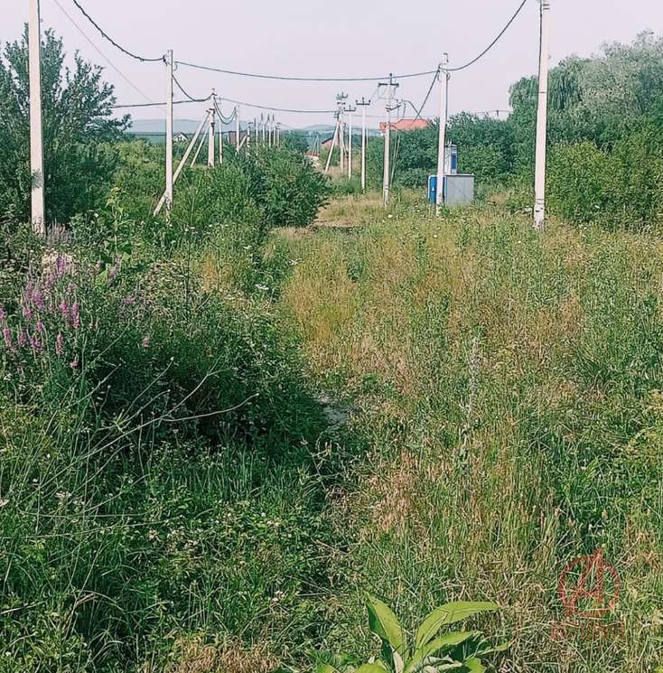 Фотография Земельный участок 7.00 сот. #4