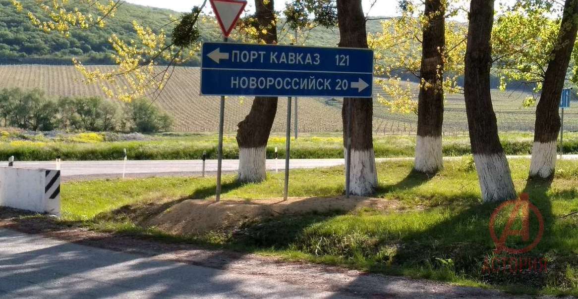 Фотография Земельный участок 11.00 сот. #11